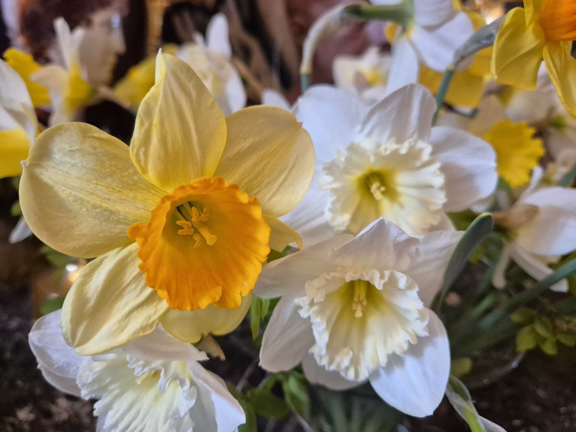 Du visar för närvarande Påskdesserter